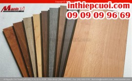 Sàn gỗ công nghiệp giá rẻ tphcm - Công ty Sàn gỗ Mạnh Trí